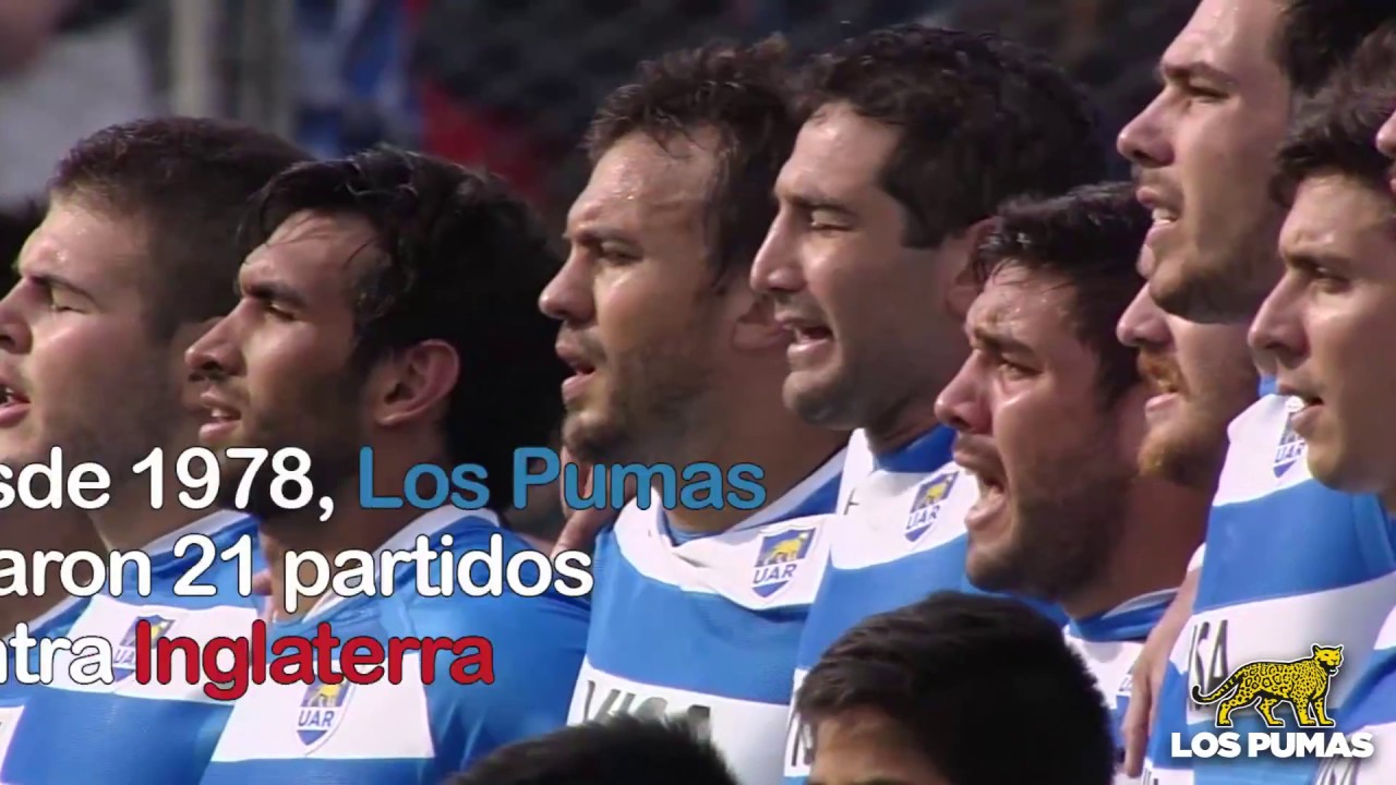 Los Pumas: Con un debutante para enfrentar a Inglaterra