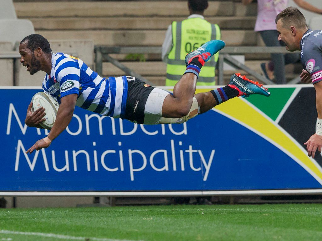 pumas currie cup