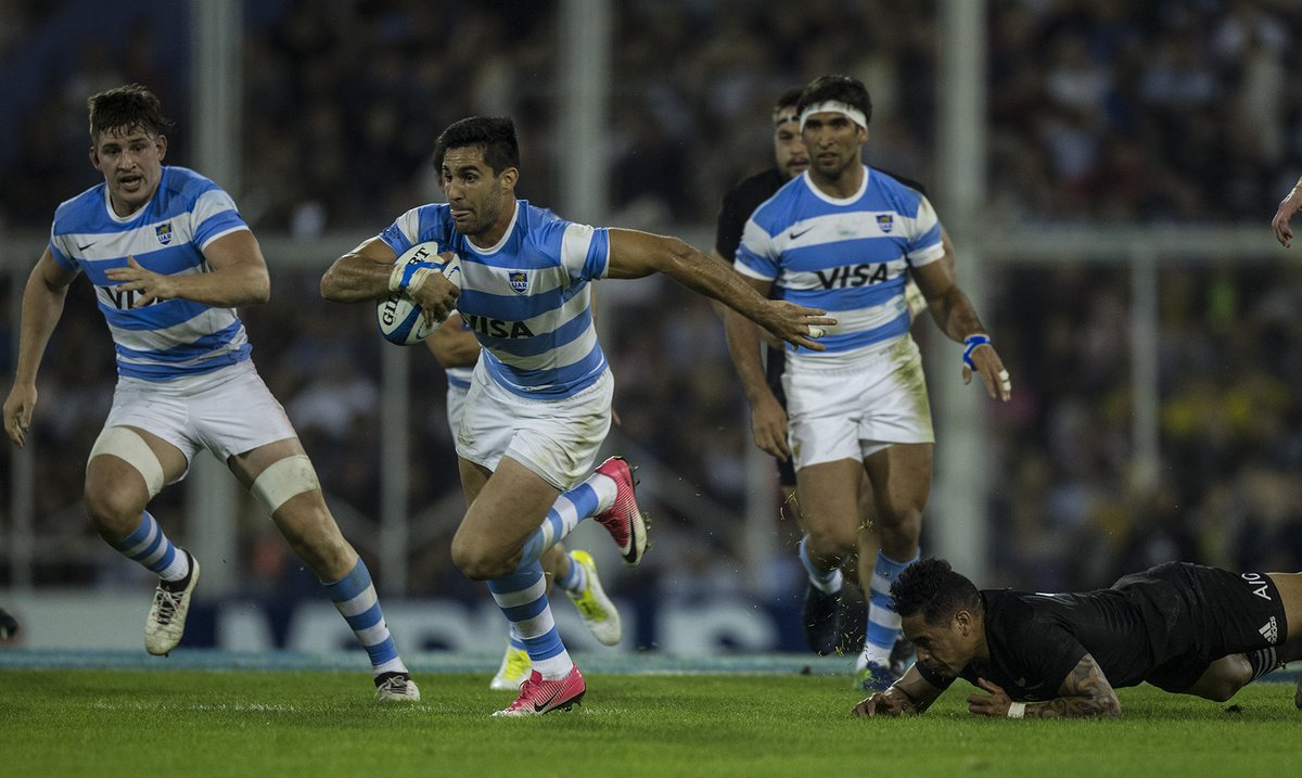 rugby championship los pumas