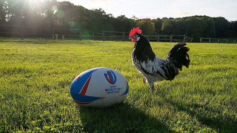 Quedó definido el proceso clasificatorio para Rugby World Cup 2023