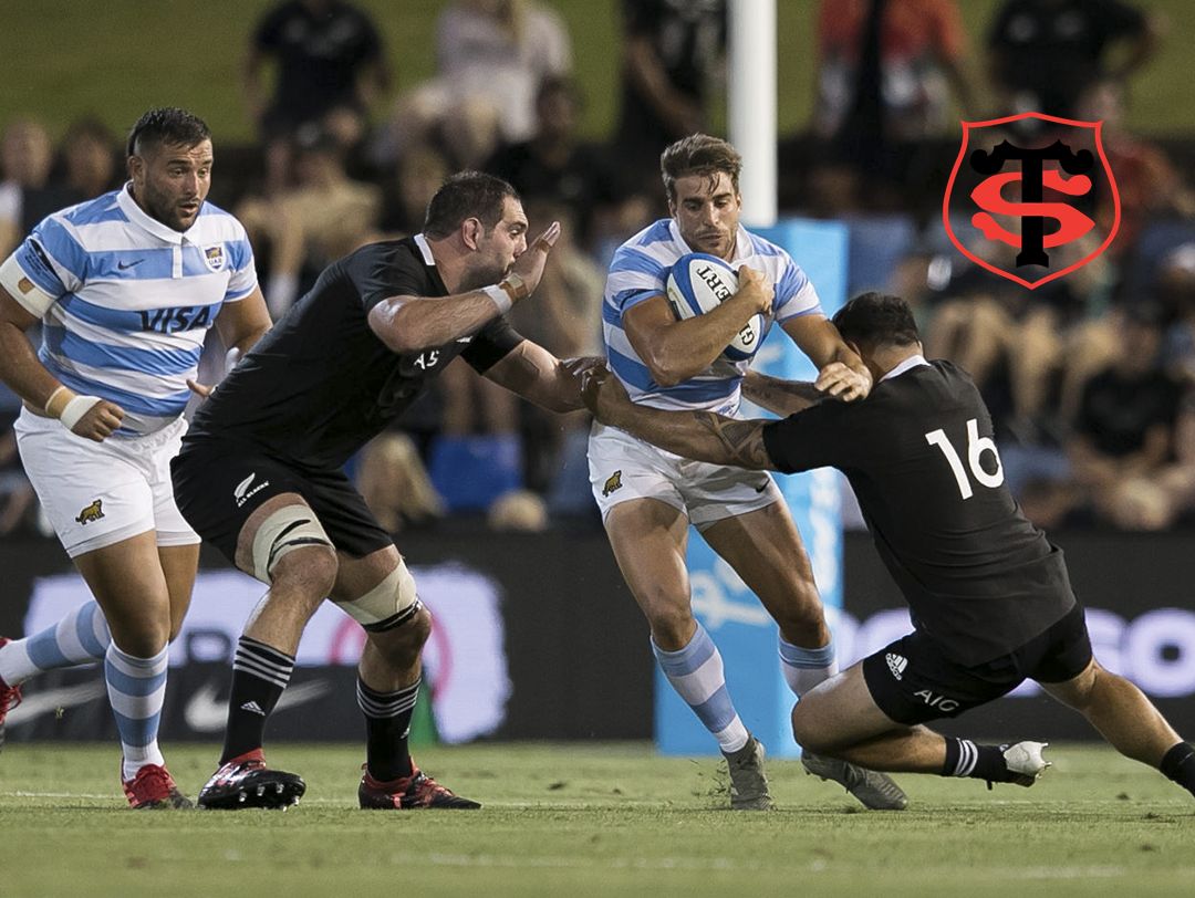 Un Puma en la Ciudad Rosa