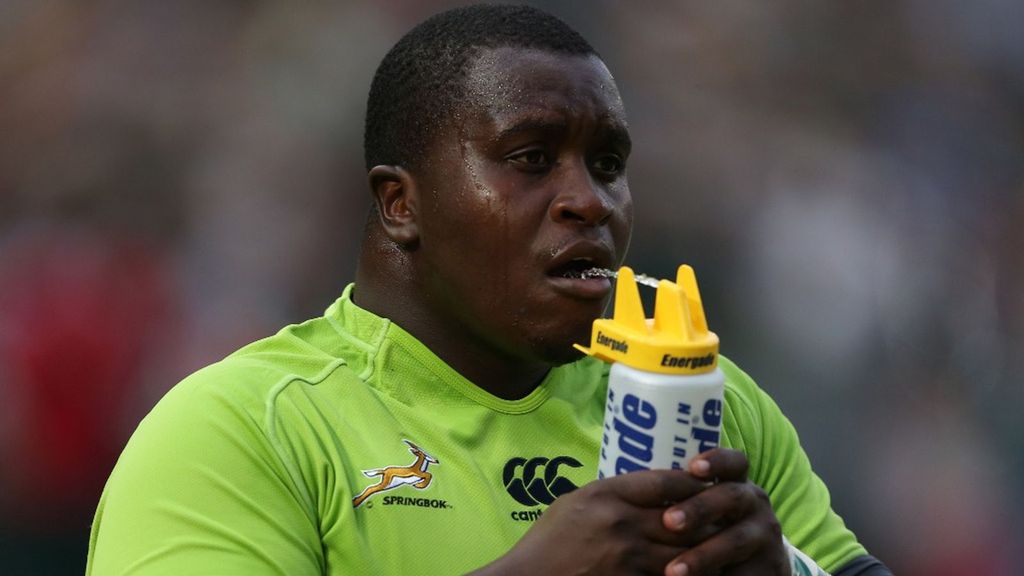 Rugby Championship: Los Springboks van por la recuperación