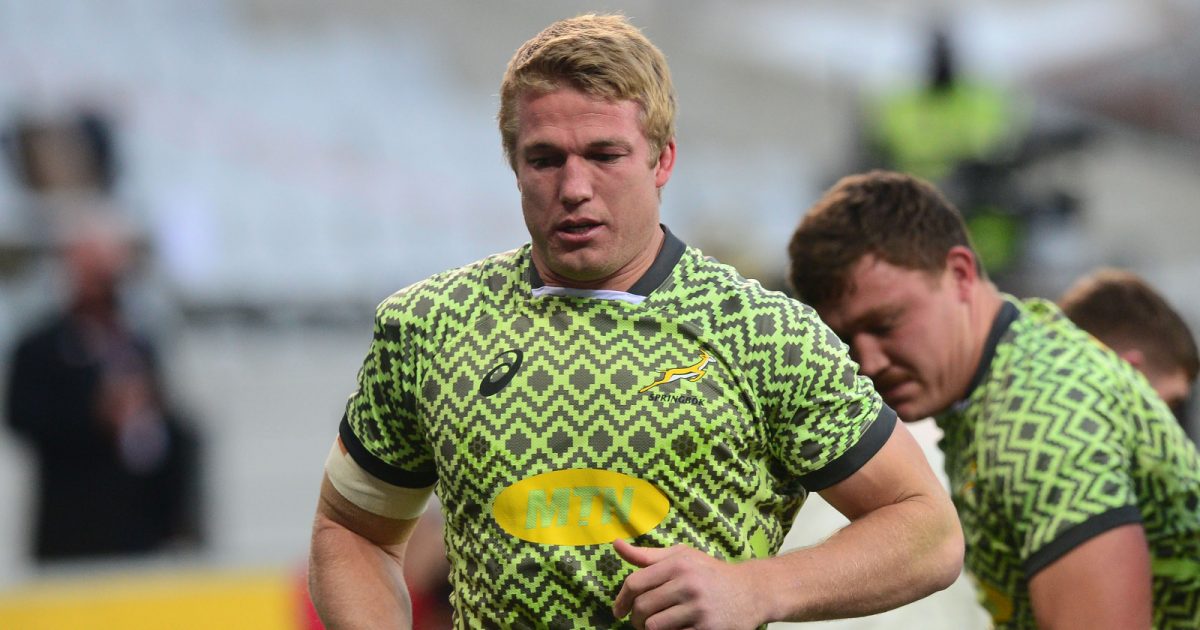 Springboks: Pieter-Steph du Toit descartado para el primer test contra Gales