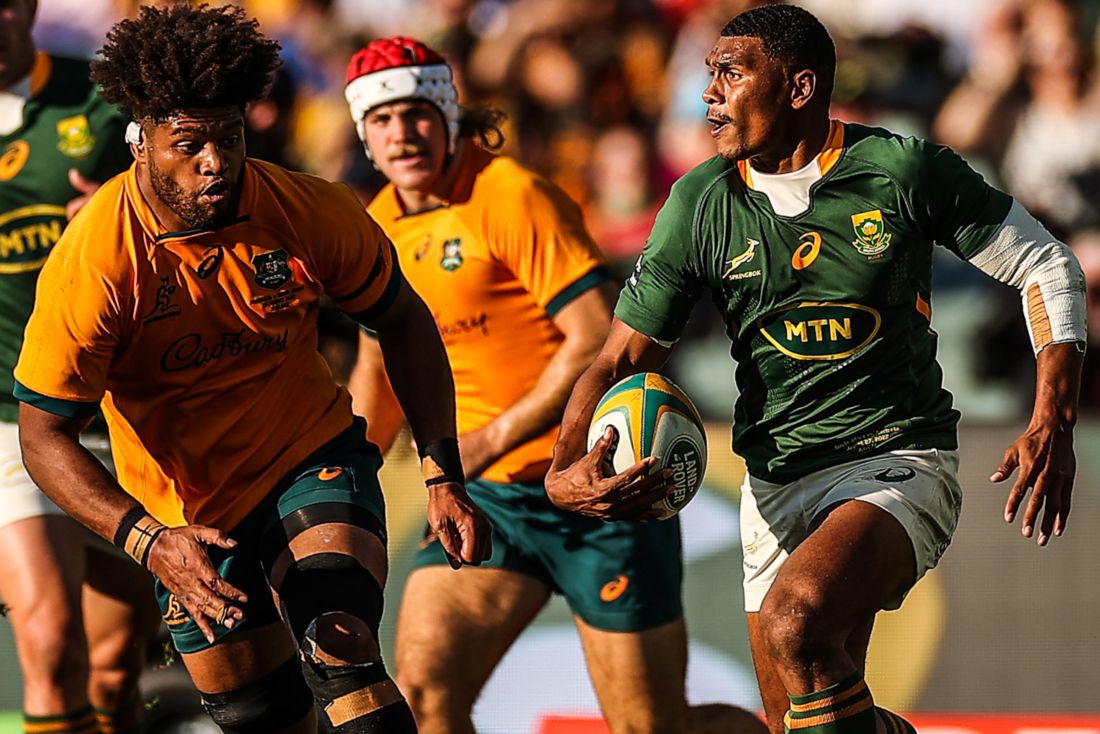 Rugby Championship: Los Springboks realizan cambios al por mayor