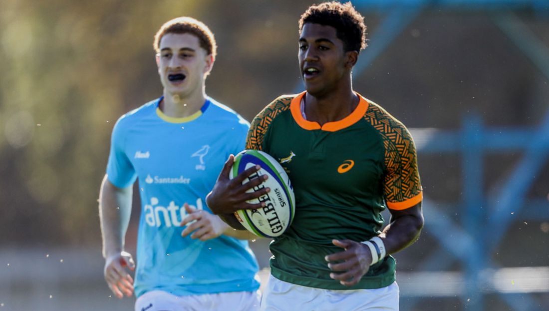 Rugby Championship: Los Springboks viajan a Australia con un debutante