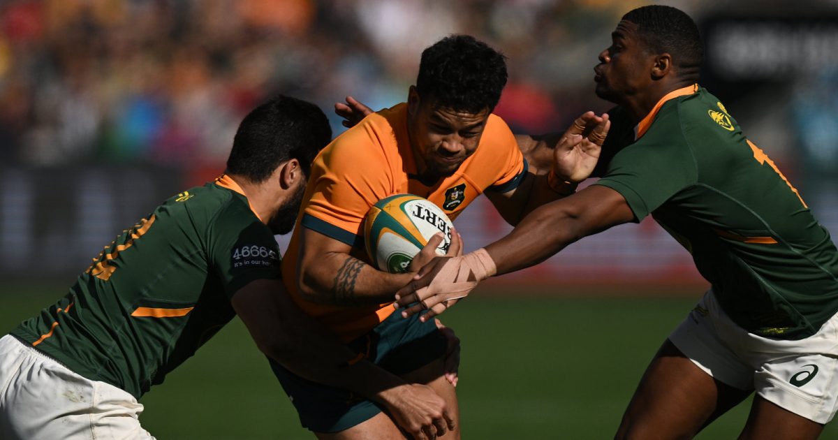 Rugby Championship: Los Wallabies volvieron a ganarle a los campeones del mundo