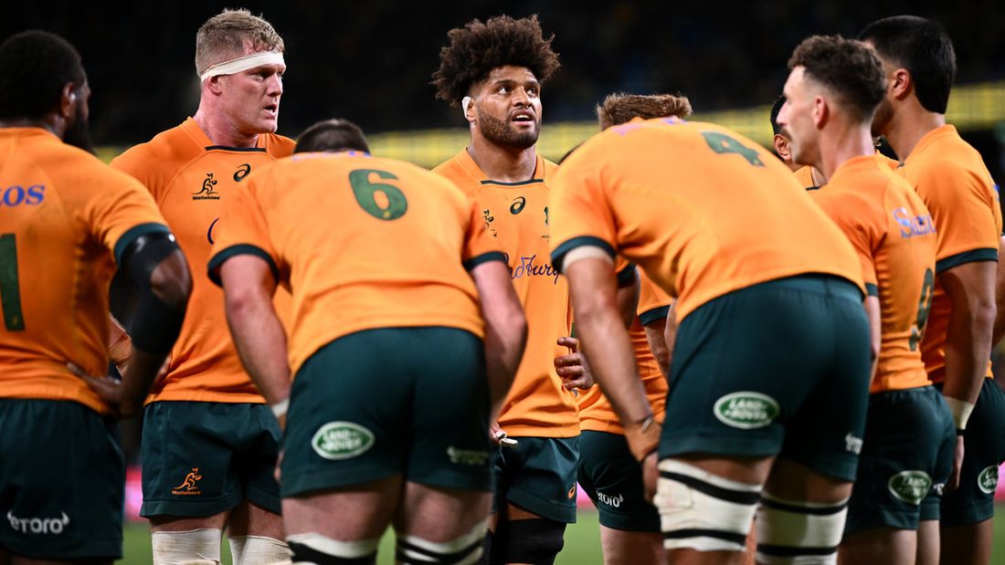 Autumn Nations Series: Bajo presión, Australia se mide ante los del trébol