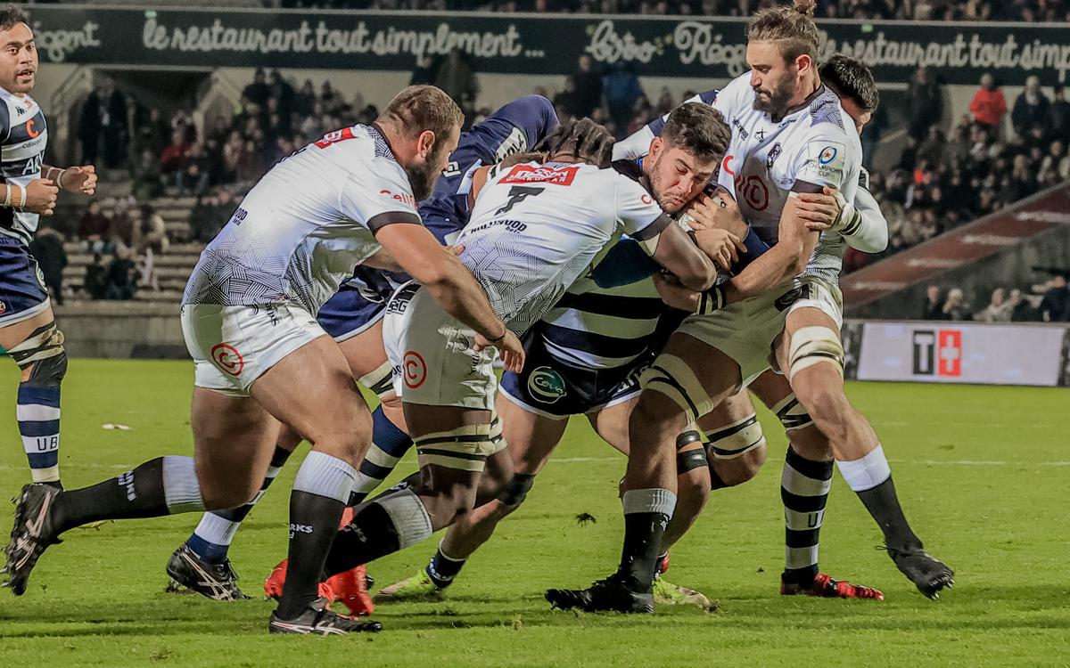 Heineken Cup: Victorias de Leinster Rugby y Cell C Sharks