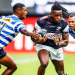 Currie Cup: Cheetahs, Sharks, Pumas y Blue Bulls siguen en la lucha por el título