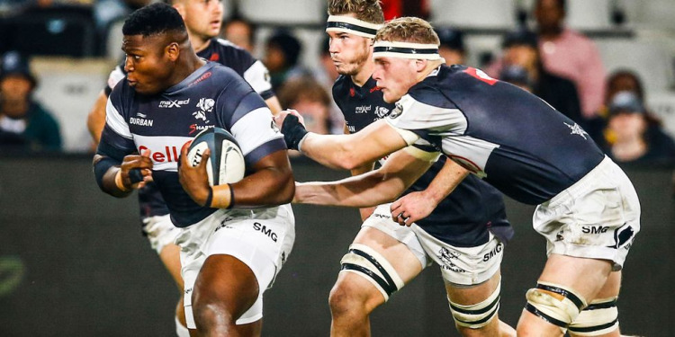 Currie Cup: ¡Los compactos de la fecha 13!