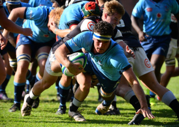 Currie Cup: Blue Bulls y Western Province obligados a ganar
