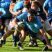 Currie Cup: Blue Bulls y Western Province obligados a ganar