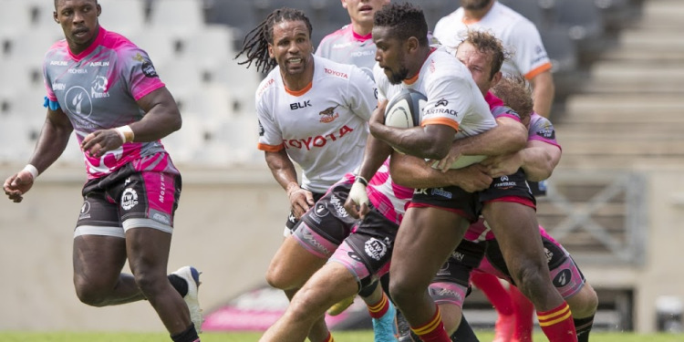 Currie Cup: Natal Sharks y Cheetahs se metieron en semifinales