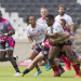 Currie Cup: Natal Sharks y Cheetahs se metieron en semifinales