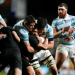 Rugby Championship: Ganarle a los All Blacks en Argentina, el sueño Puma