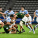 Mundial M20: Los Junior Springboks se metieron en semifinales