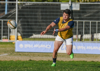 Rugby Championship: Los Pumas ya piensan en Sudáfrica