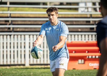 Rugby Championship: Los Pumas siguen puliendo detalles pensando en Sudáfrica
