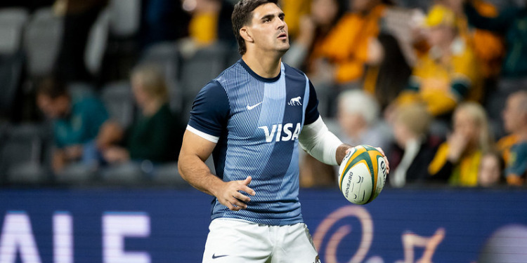 Rugby Championship: Pablo Matera, el todoterreno de los argentinos