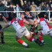 Rugby de Córdoba: Mirá todos los compactos de playoffs