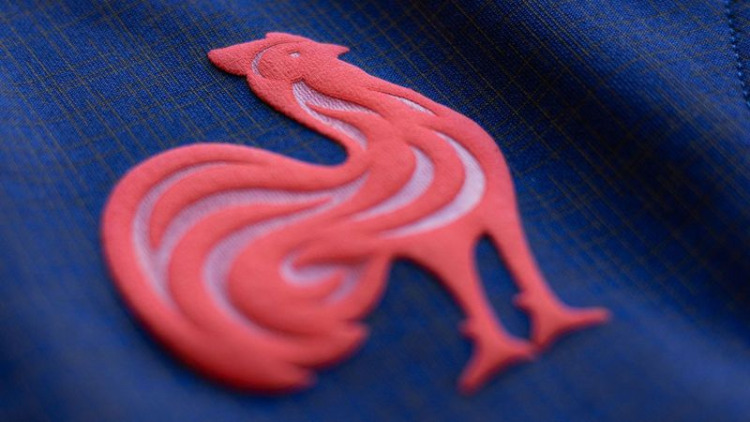 Ranking de los cinco favoritos para ganar la Copa William Webb Ellis