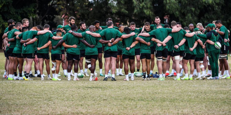 Rugby Championship: Los Springboks se preparan para una batalla brutal el sábado