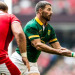 Ranking World Rugby: Los Springboks consiguen una nueva posición