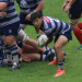 Torneo del Interior A y B: Vuelve el rugby de clubes