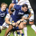 Gallagher Premiership: Sale Sharks con Agustín Creevy como titular recibe a Newcastle Falcons
