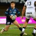 Top 14: Montpellier le amargó la tarde a Toulon