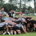 La crisis económica afectará al rugby: el Regional NEA no tendrá encuentro Interzonales