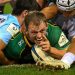 Champions Cup: Bayonne pasó vergüenza en suelo inglés