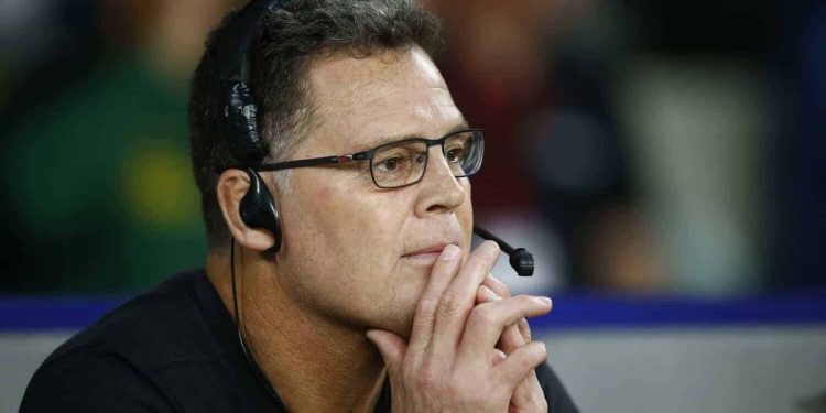 Rassie Erasmus fue reconocido en Sudáfrica