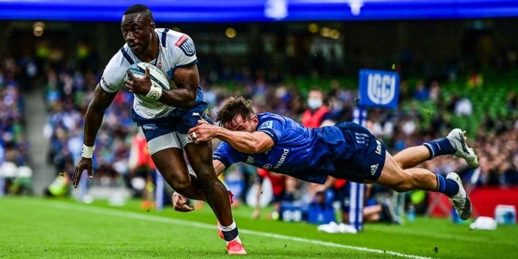 United Rugby Championship: Leinster Rugby y Bulls se llevan toda la atención