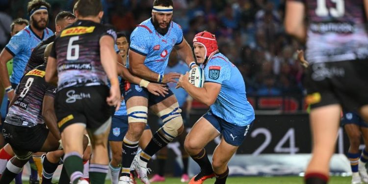 United Rugby Championship: Bulls le ganó a Stormers y se prendió arriba