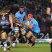 United Rugby Championship: Bulls le ganó a Stormers y se prendió arriba