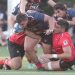 Súper Rugby Américas: Los números de Pampas y Dogos XV antes del clásico