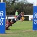 Rugby de Córdoba: Los compactos del fin de semana