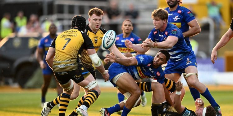 United Rugby Championship: Stormers y Edinburgh Rugby dieron un paso importantísimo