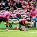 Challenge Cup: Mira los triunfos de Sharks y Gloucester Rugby en semifinales
