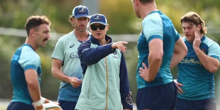 Los nervios de Joe Schmidt en la previa a su debut como entrenador de Australia