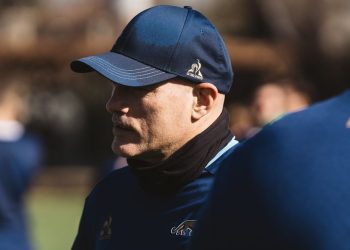 Felipe Contepomi: “No es un nuevo proceso, es un nuevo ciclo mundialista”