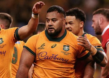 Ventana de julio: Joe Schmidt arrancó con el pie derecho