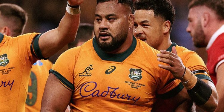 Ventana de julio: Joe Schmidt arrancó con el pie derecho