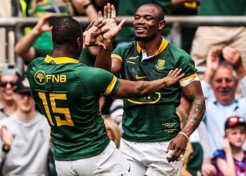 Ventana de julio: Los Boks ceden jugadores a equipos de la Currie Cup