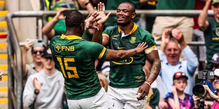 Ventana de julio: Los Boks ceden jugadores a equipos de la Currie Cup