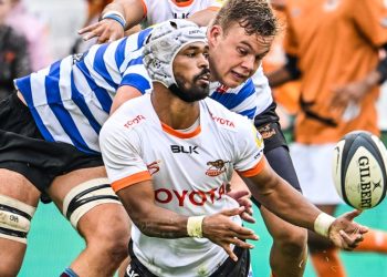 Currie Cup: Cheetahs visita a Griffons