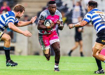 Currie Cup: En Sudáfrica se empiezan a definir los cruces de semifinal