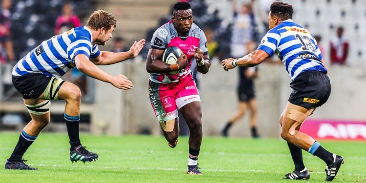 Currie Cup: En Sudáfrica se empiezan a definir los cruces de semifinal