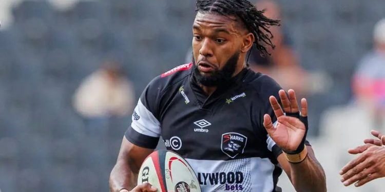 Currie Cup: Sharks XV goleó a Griffons y se aseguró un lugar en semifinales